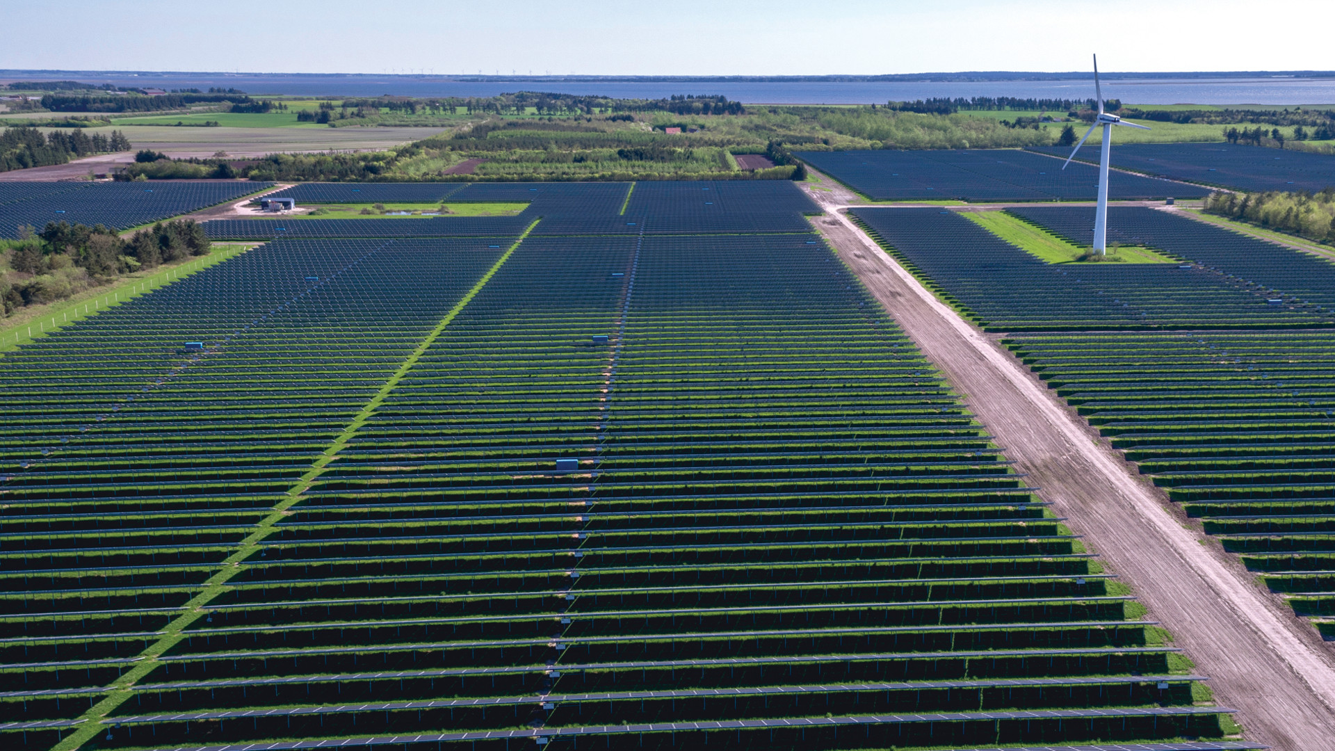 Tata Power solar park in Denmark